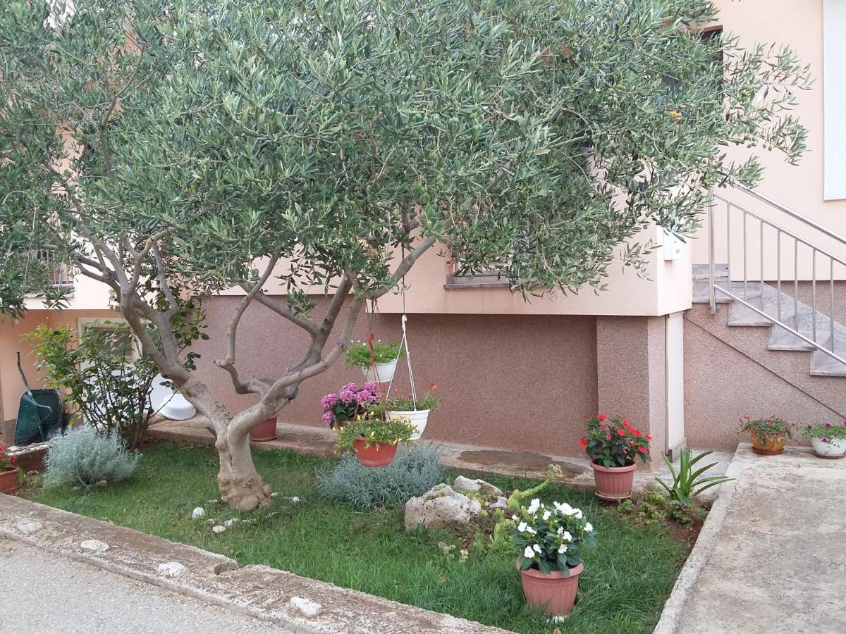 Apartments Ivan Zadar Ngoại thất bức ảnh